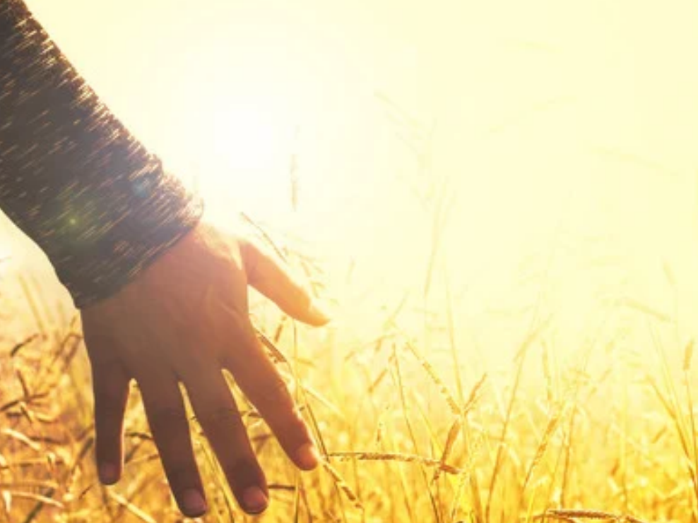 Tao Healing Hands Blessing/Healing